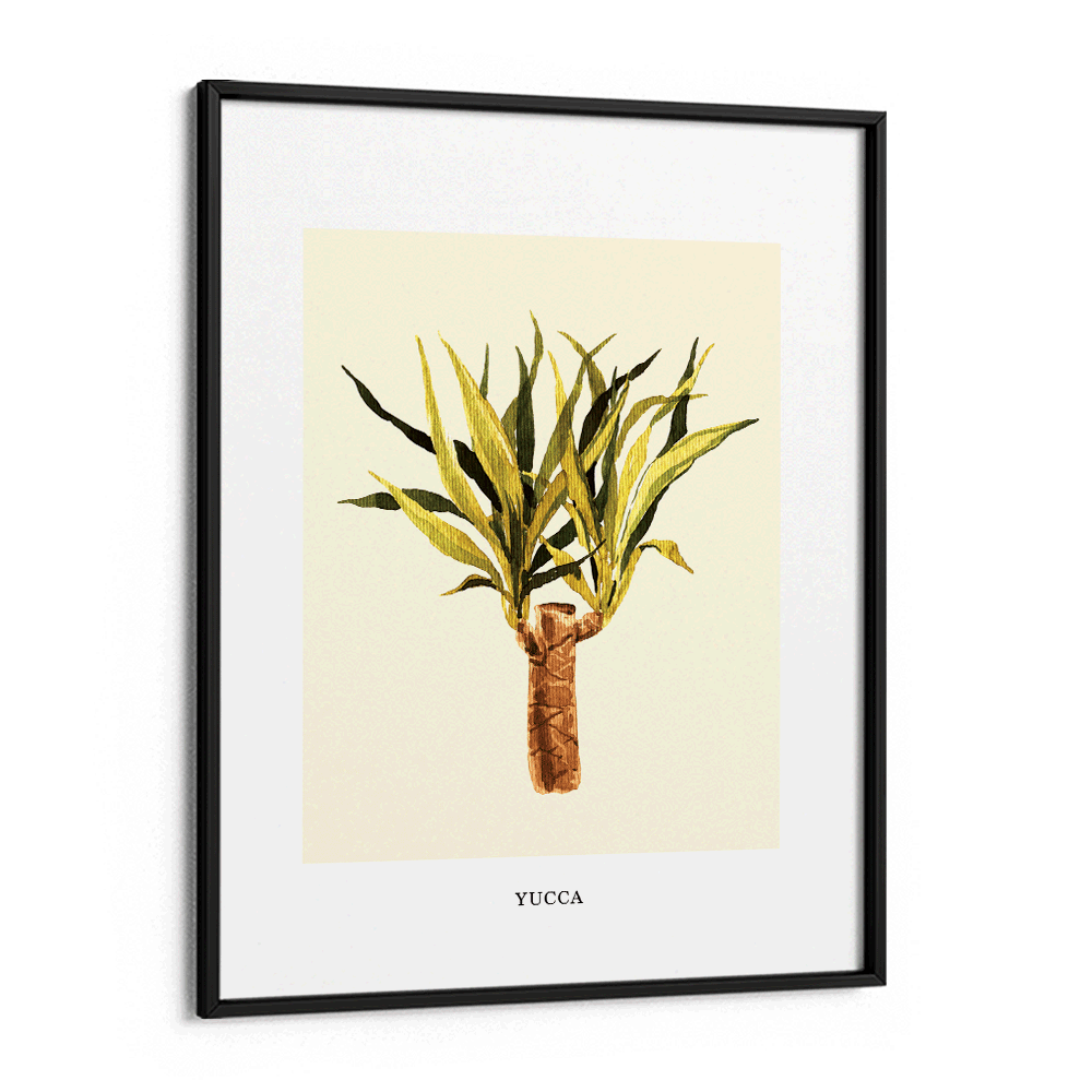 Yucca Nook At You Matte Paper Black Frame