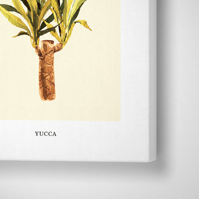 Yucca Nook At You Canvas Gallery Wrap