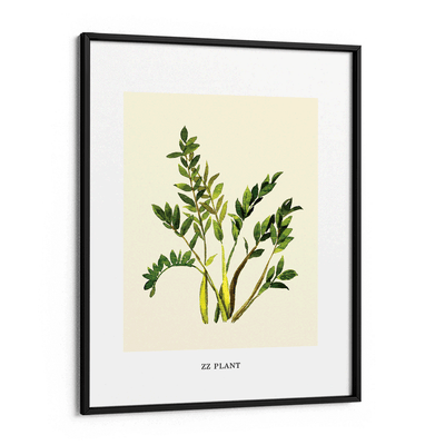 ZZ Plant Nook At You Matte Paper Black Frame