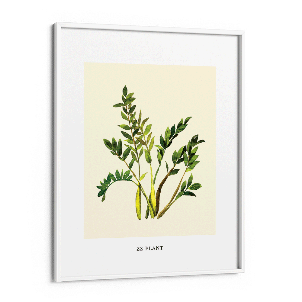 ZZ Plant Nook At You Matte Paper White Frame