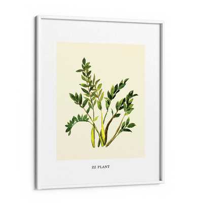 ZZ Plant Nook At You Matte Paper White Frame