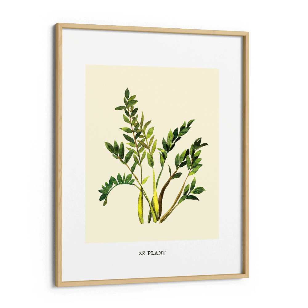 ZZ Plant Nook At You Matte Paper Wooden Frame