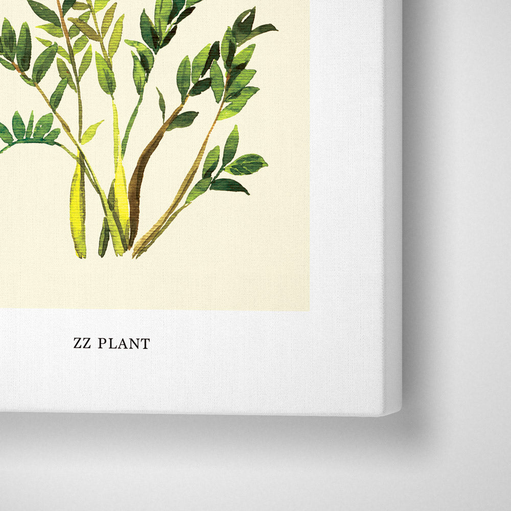 ZZ Plant Nook At You Canvas Gallery Wrap