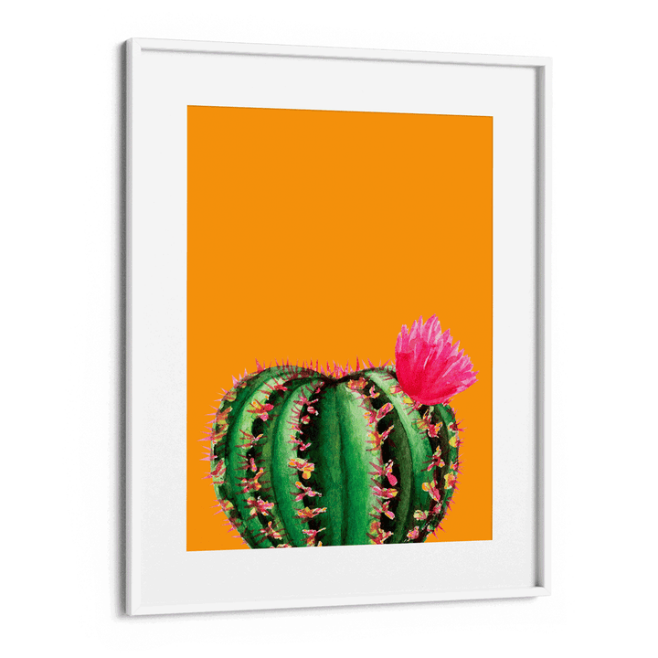 Mustard Succulent Nook At You  
