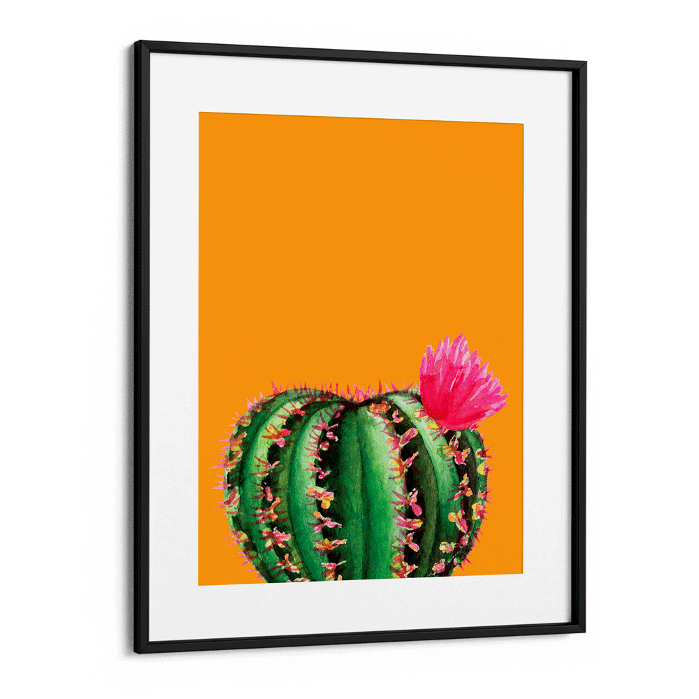Mustard Succulent Nook At You  