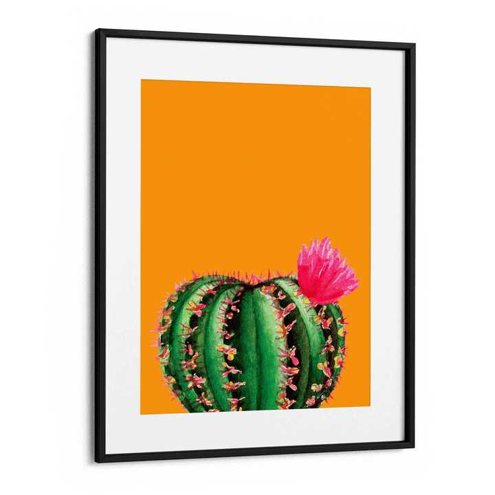 Mustard Succulent Nook At You  