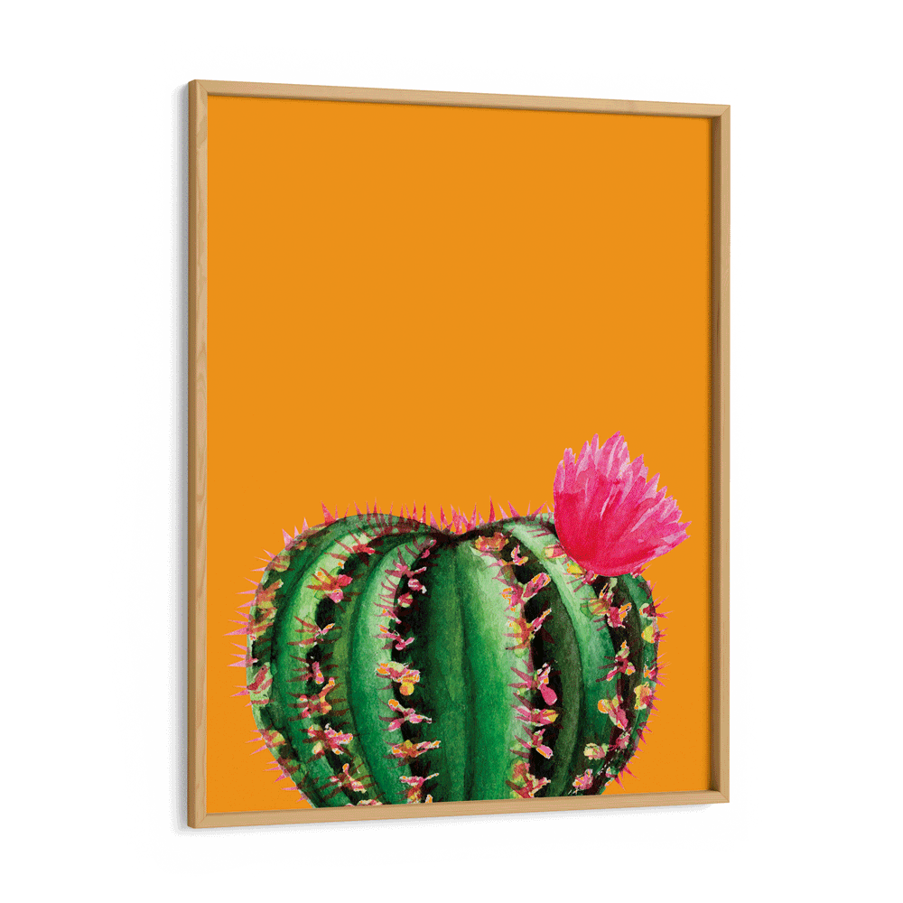 Mustard Succulent Nook At You  