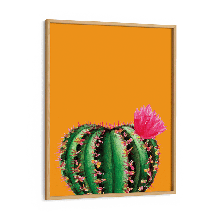Mustard Succulent Nook At You  